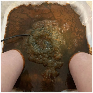 Healifeco Ionic Foot Spa - At-home detox and cleanse!